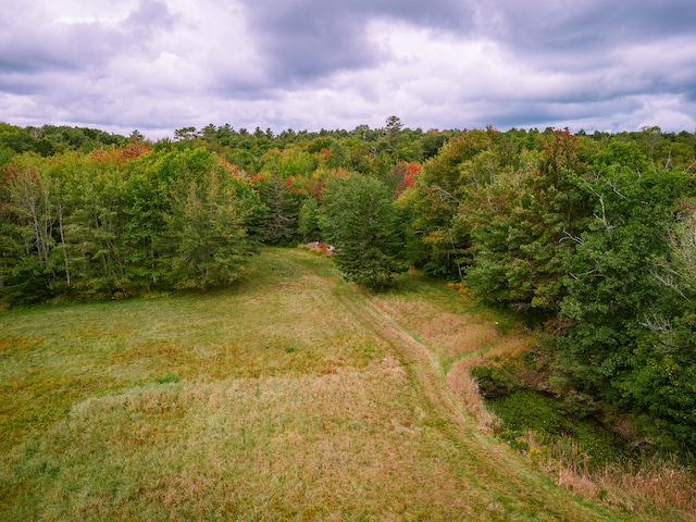 bird's eye view