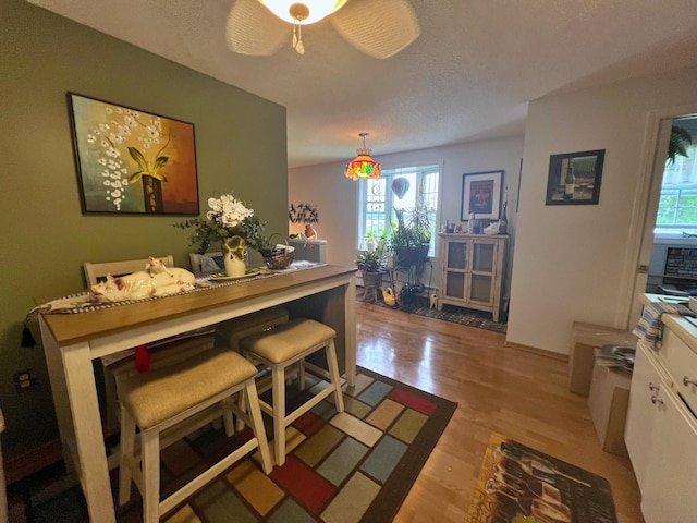 dining space featuring ceiling fan, a textured ceiling, and light wood-type flooring