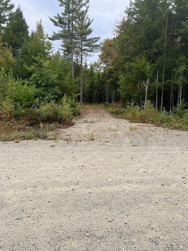 60 Bluejay Ln, Waltham, ME 04605