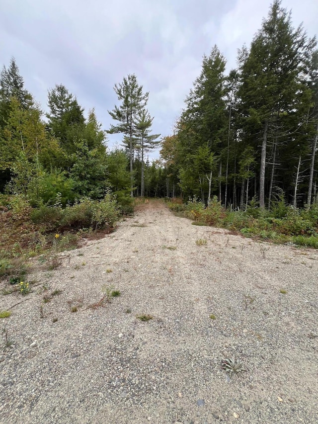 60 Bluejay Ln, Waltham, ME 04605