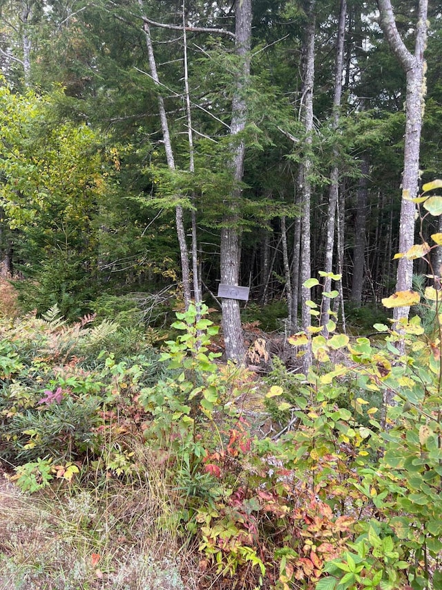 60 Bluejay Ln, Waltham, ME 04605