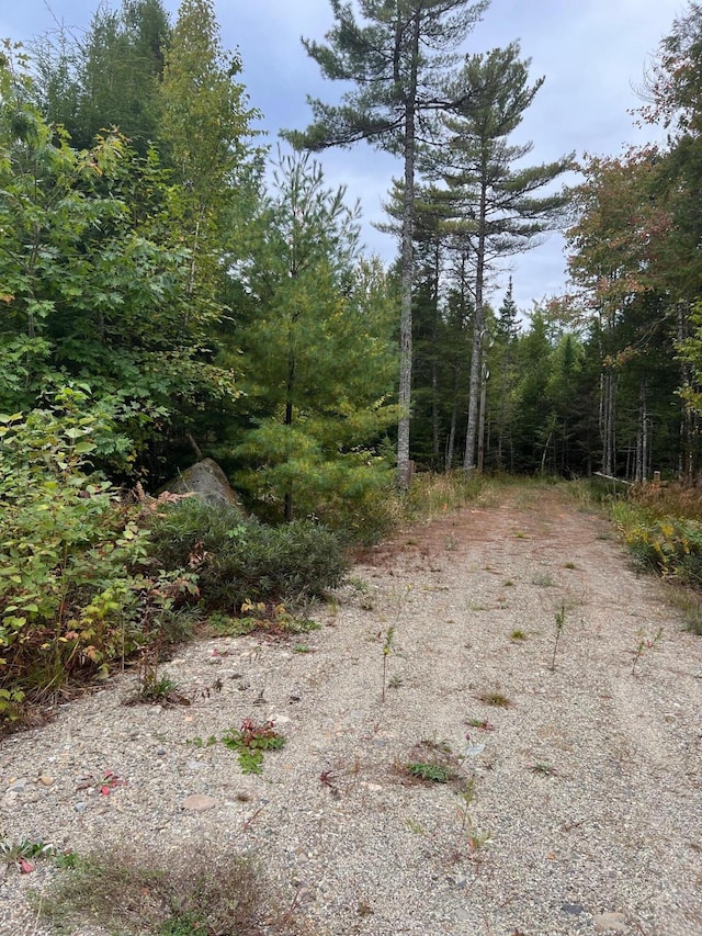 60 Bluejay Ln, Waltham, ME 04605
