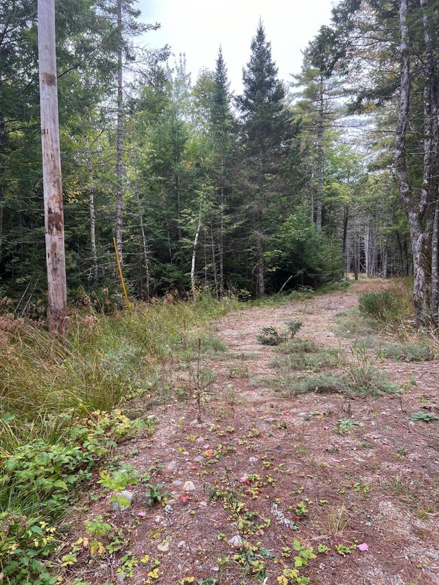 60 Bluejay Ln, Waltham, ME 04605