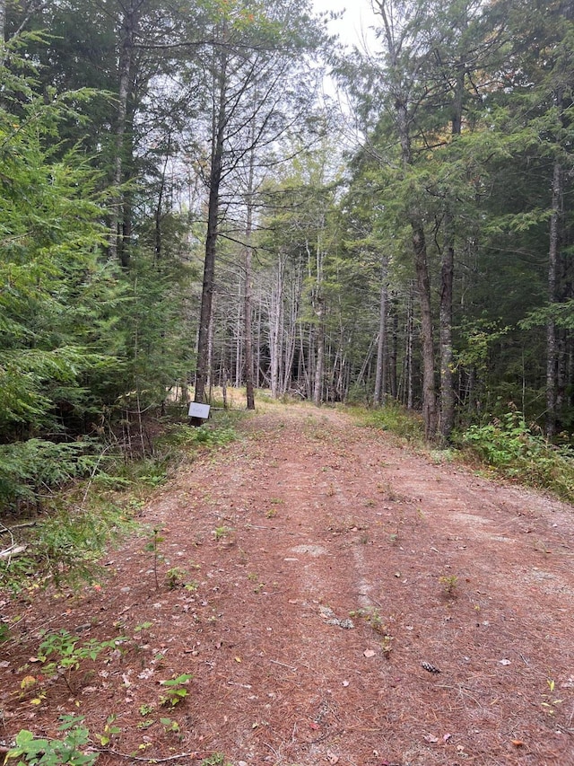 60 Bluejay Ln, Waltham, ME 04605