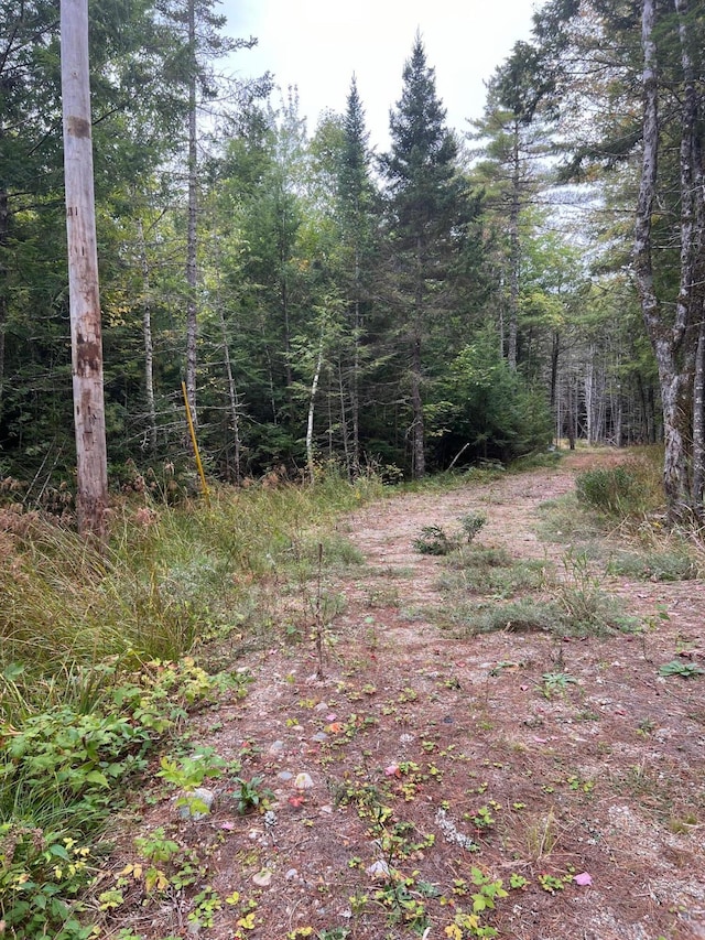 60 Bluejay Ln, Waltham, ME 04605