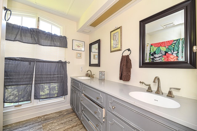 bathroom with vanity and hardwood / wood-style flooring