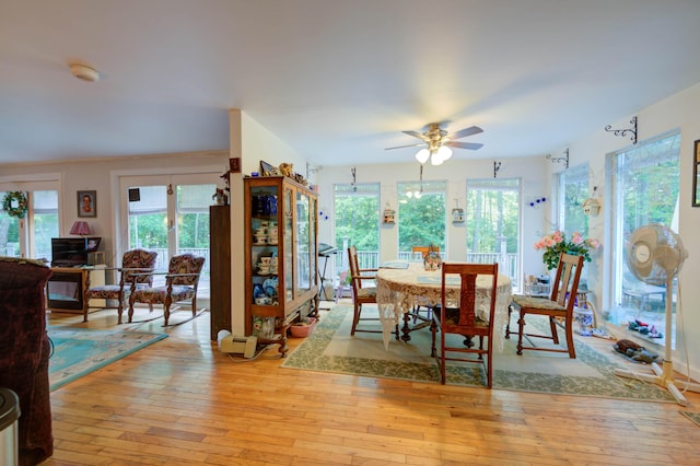 dining room with light hardwood / wood-style floors and ceiling fan