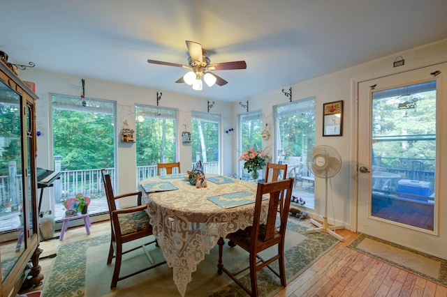 dining space with ceiling fan, light hardwood / wood-style floors, and a wealth of natural light