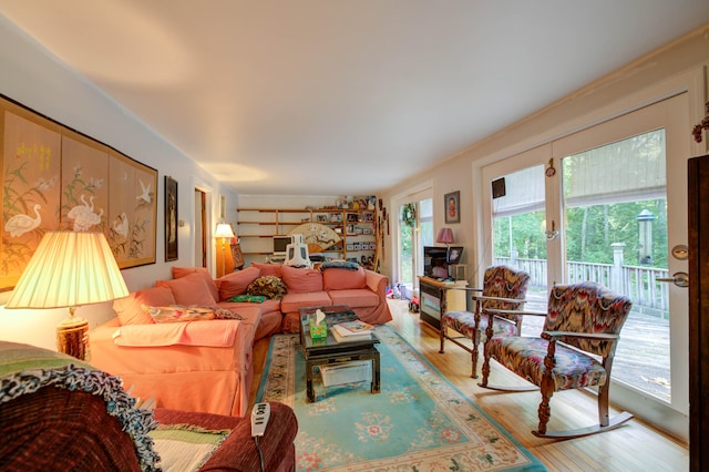 living room featuring hardwood / wood-style floors