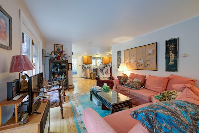 living room featuring light wood-type flooring