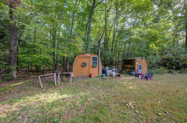 view of yard with a storage unit