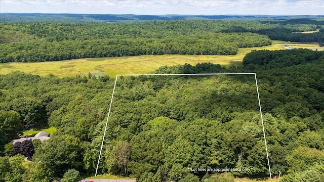 LOT1 Lewis Hill Rd, Newcastle ME, 04553 land for sale