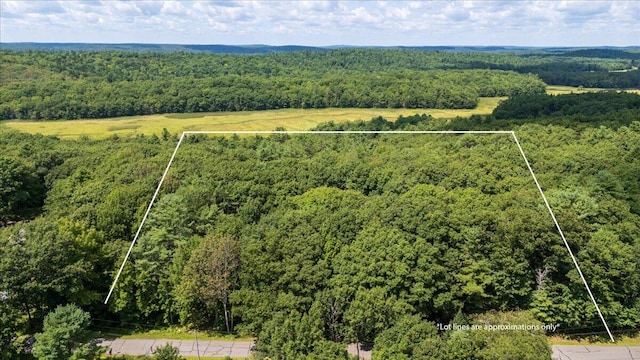 Listing photo 2 for LOT1 Lewis Hill Rd, Newcastle ME 04553