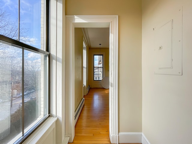 corridor with electric panel, light wood-type flooring, a baseboard radiator, and ornamental molding