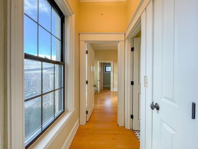 corridor featuring light wood-type flooring and a wealth of natural light