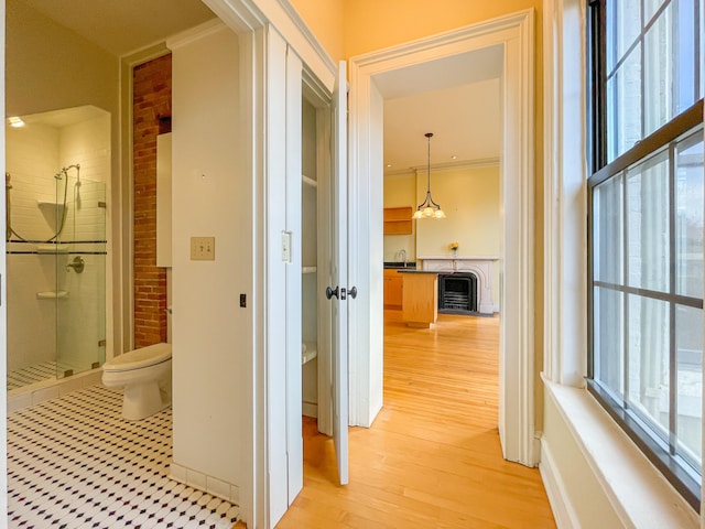 hall featuring ornamental molding, light hardwood / wood-style flooring, a wealth of natural light, and sink