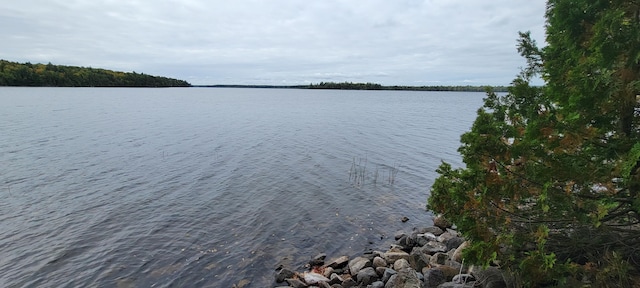 view of water feature