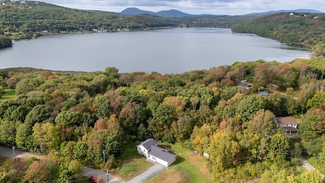 aerial view featuring a water and mountain view