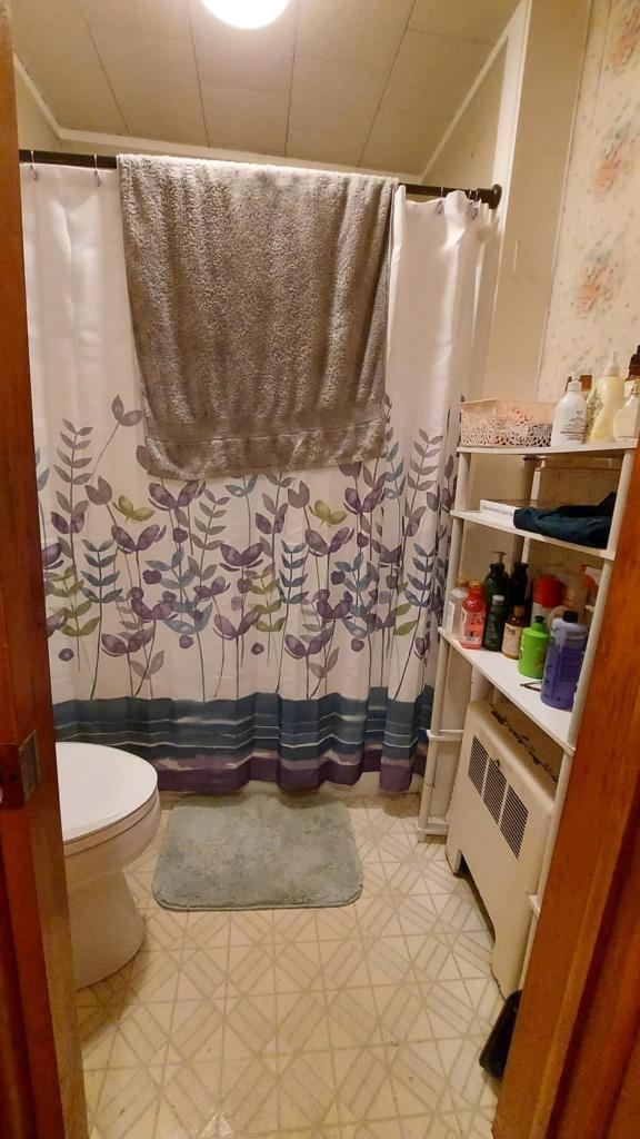 bathroom featuring a shower with curtain and toilet