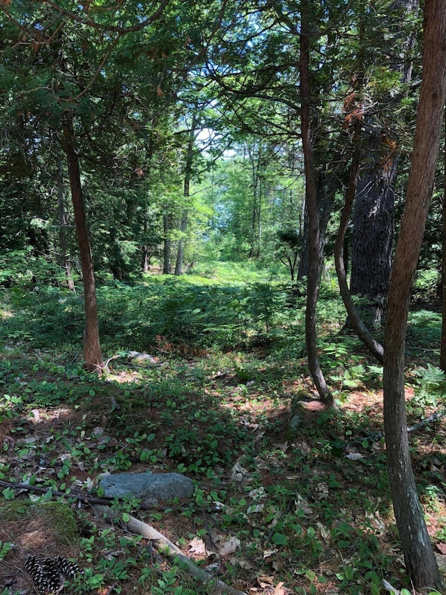 0 Peterson Ln, Brunswick, ME 04011 - photo 4