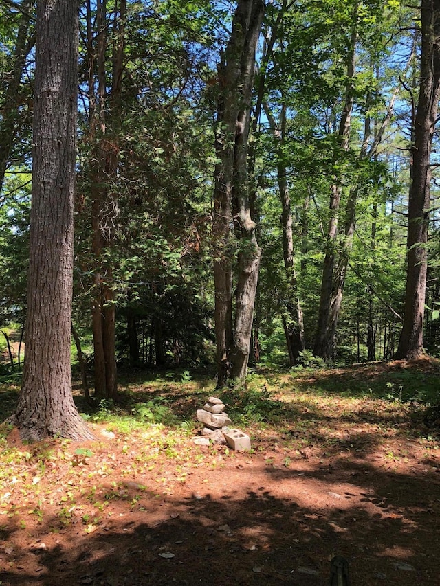0 Peterson Ln, Brunswick, ME 04011 - photo 5