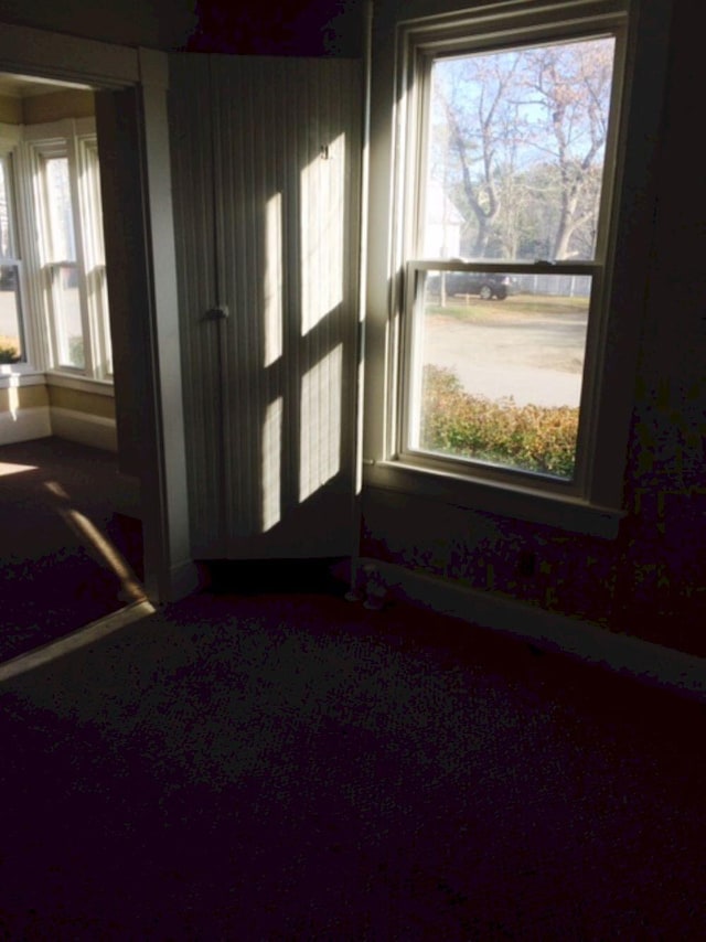foyer entrance featuring baseboards and carpet