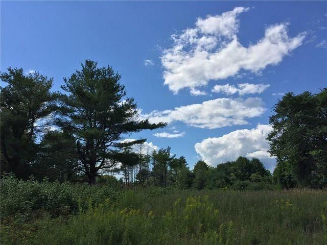 view of local wilderness