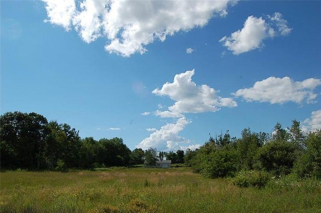 view of local wilderness with a rural view