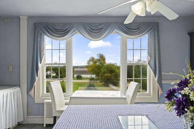 bedroom with ceiling fan