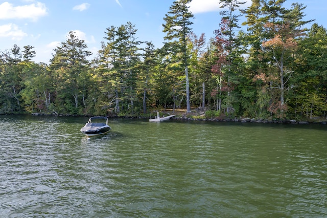 property view of water with a boat dock