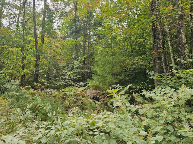 R19LOT6-6 Tuell Hill Rd, Sumner ME, 04292 land for sale