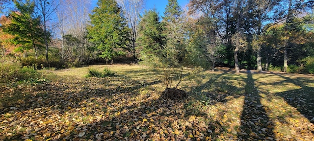 view of nature