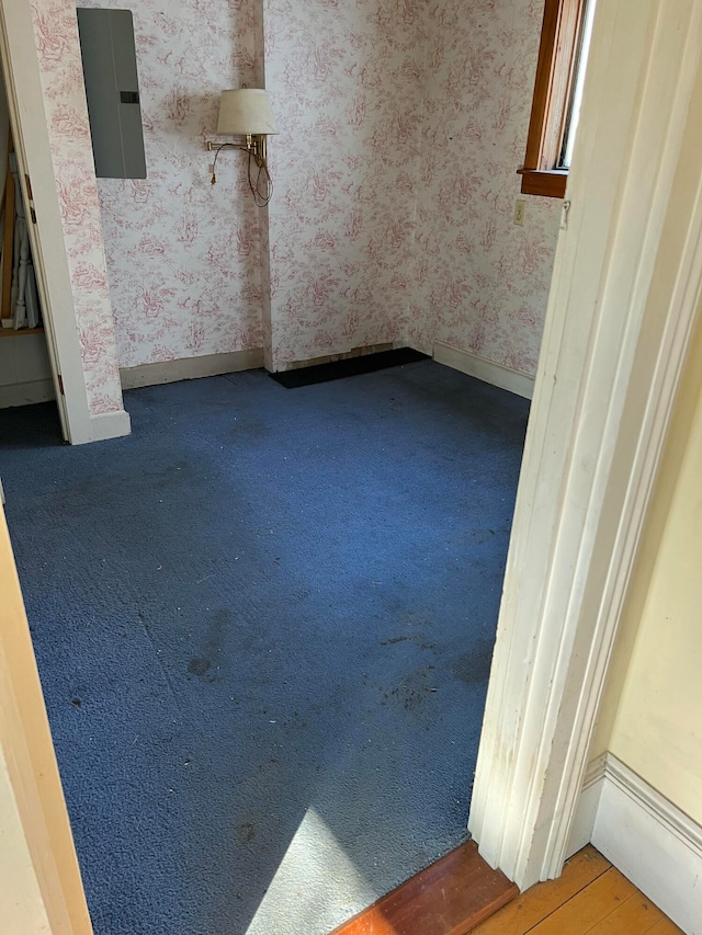 unfurnished room featuring electric panel and wood-type flooring