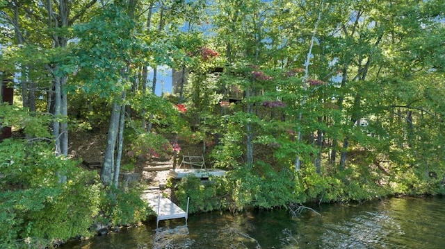 view of landscape featuring a water view