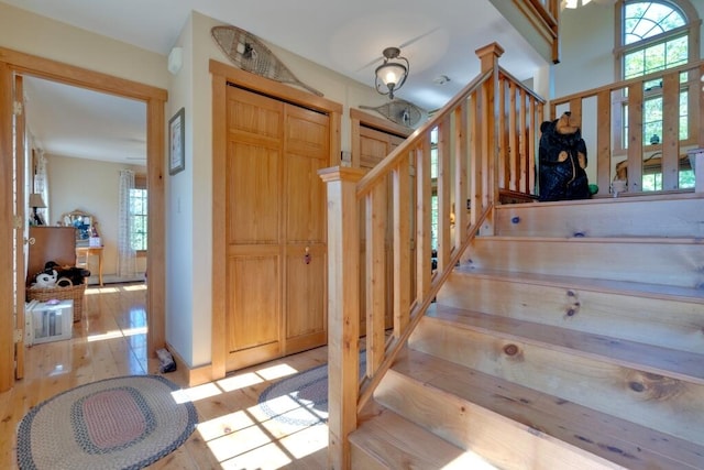 staircase featuring wood-type flooring