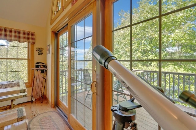 doorway featuring light wood-type flooring and plenty of natural light