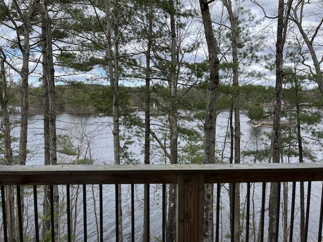 view of water feature