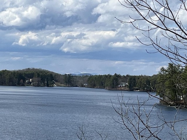 view of yard featuring a water view