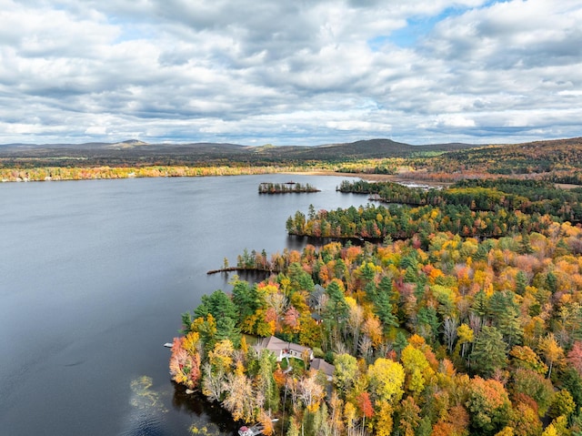 124 Collette Rd, Holden, ME 04429 - drone / aerial view of a forest and a water and mountain view
