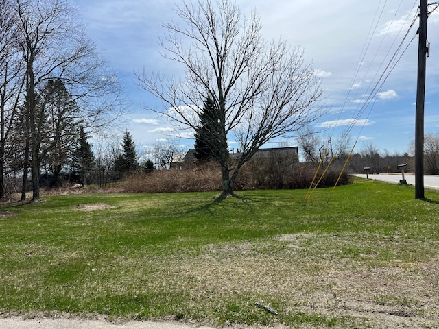 562 Ledge Hill Rd, Corinth, ME 04427 - view of yard