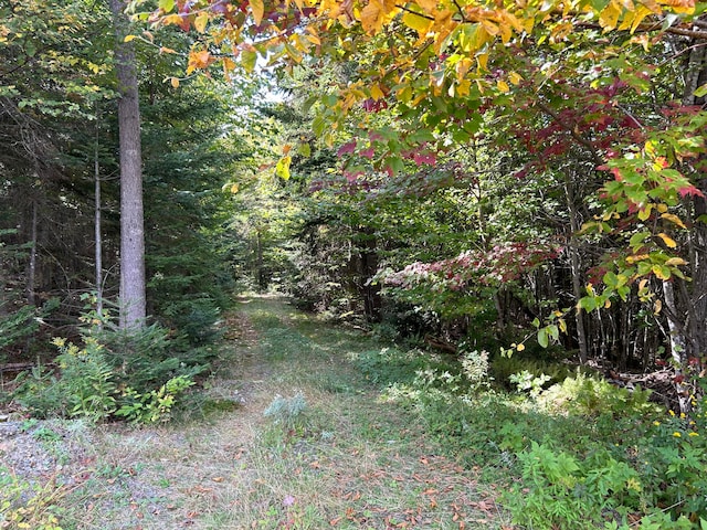 M3/L25A Rumford Rd, Rangeley Plt ME, 04970 land for sale