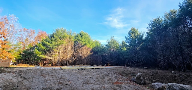 view of tree filled area
