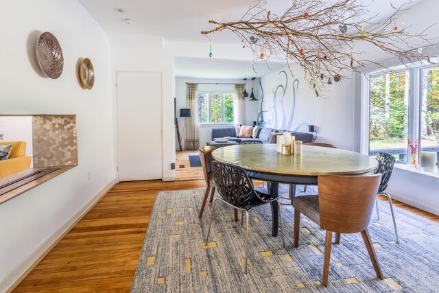 dining room featuring hardwood / wood-style flooring