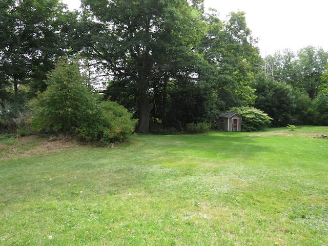 view of yard with a storage unit