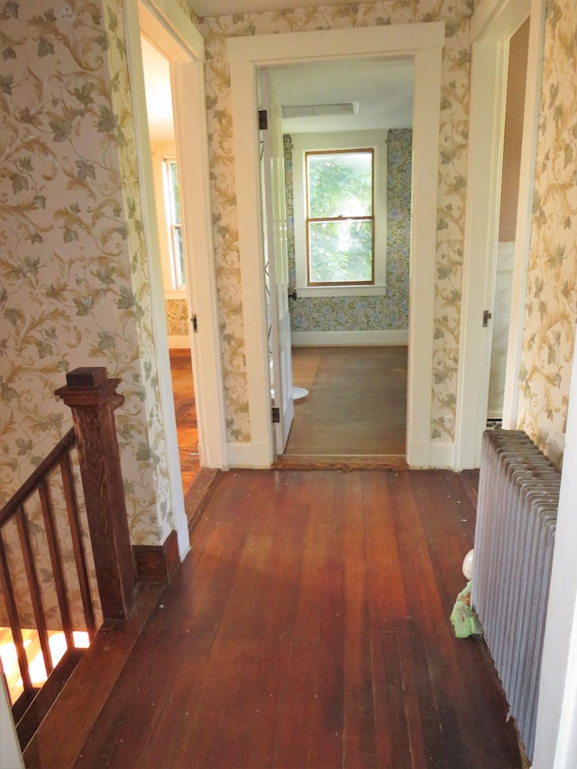 hall with radiator and dark hardwood / wood-style flooring