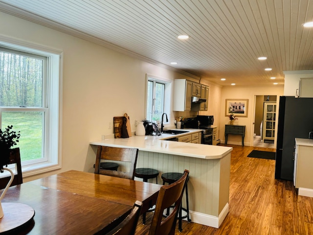 kitchen with a sink, wood finished floors, stainless steel range with electric cooktop, freestanding refrigerator, and a peninsula