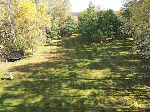 view of yard featuring a trampoline