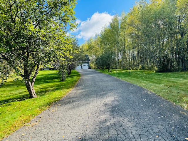 view of street featuring driveway