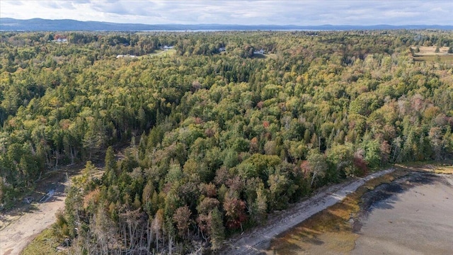 aerial view with a mountain view