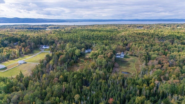 bird's eye view with a mountain view